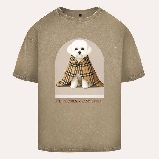 Oversize Washed T-Shirt Bichon